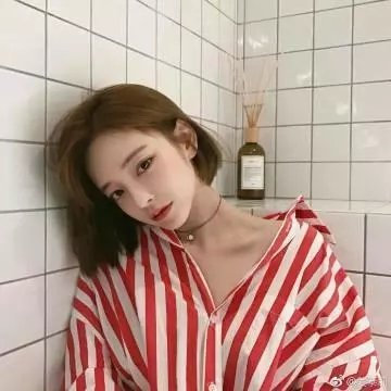 喵星人的奇思妙想