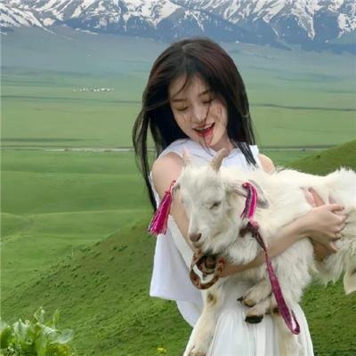 奇幻森林之兽语小子